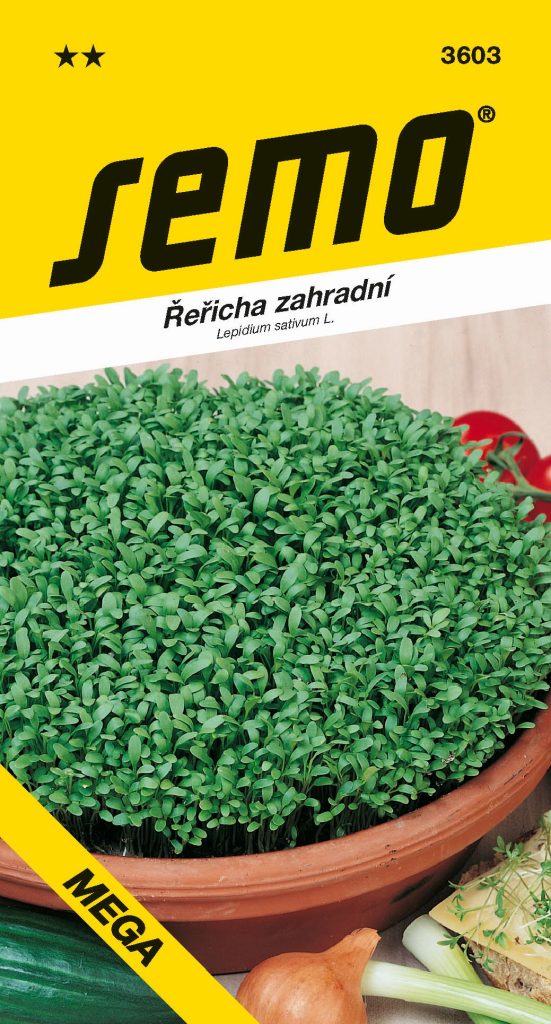 Řeřicha MEGA - pro celoroční rychlení, velké listy