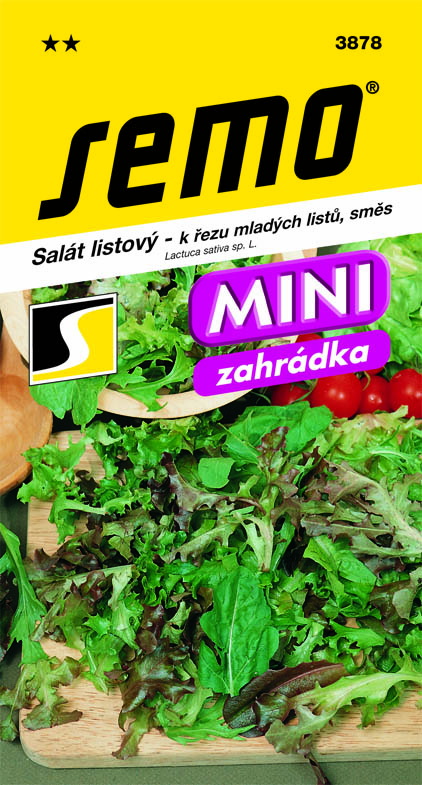 Salát listový - Směs k řezu mladých listů