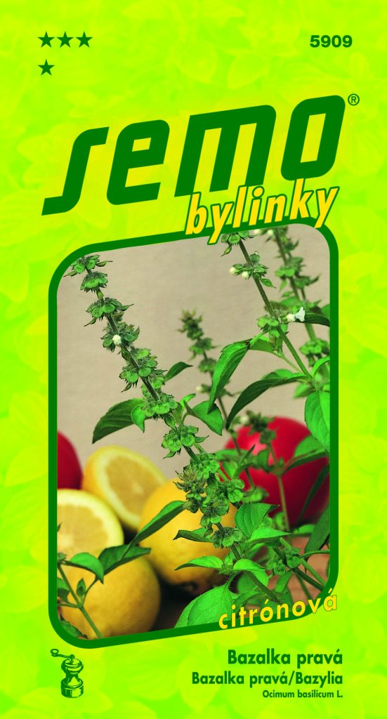 Bazalka LIME