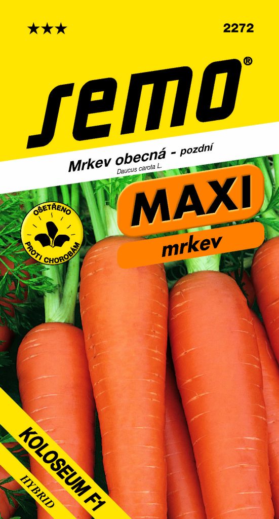 Mrkev obecná KOLOSEUM F1 - maxi, pozdní, skladovatelná