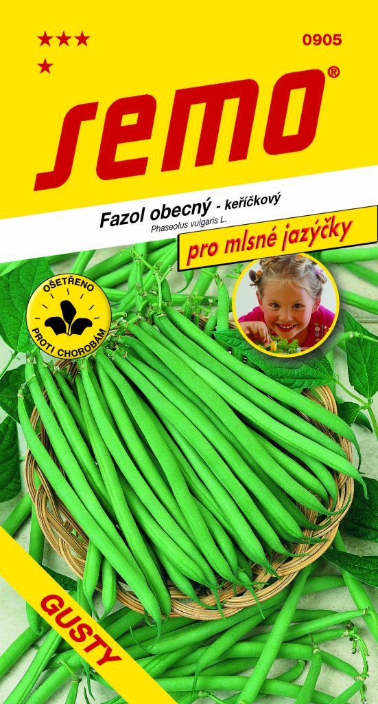 Fazol obecný keříčkový GUSTY - zelenoluský, na čerstvé lusky