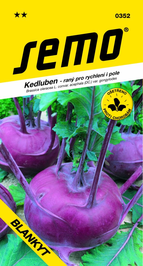 Kedluben BLANKYT -modrý, pole, ranný
