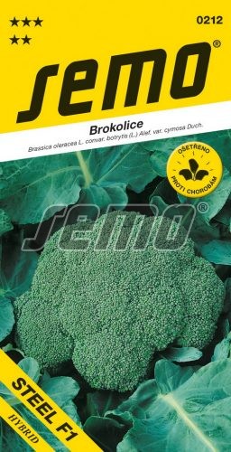 Brokolice STEEL F1 - pro celoroční pěstování