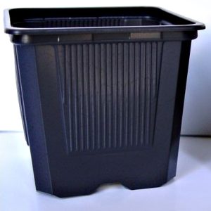 Sadbový kontejner VQF 7x7x6,5