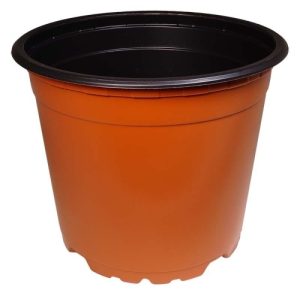 Sadbový květináč - 12 cm - hnědý