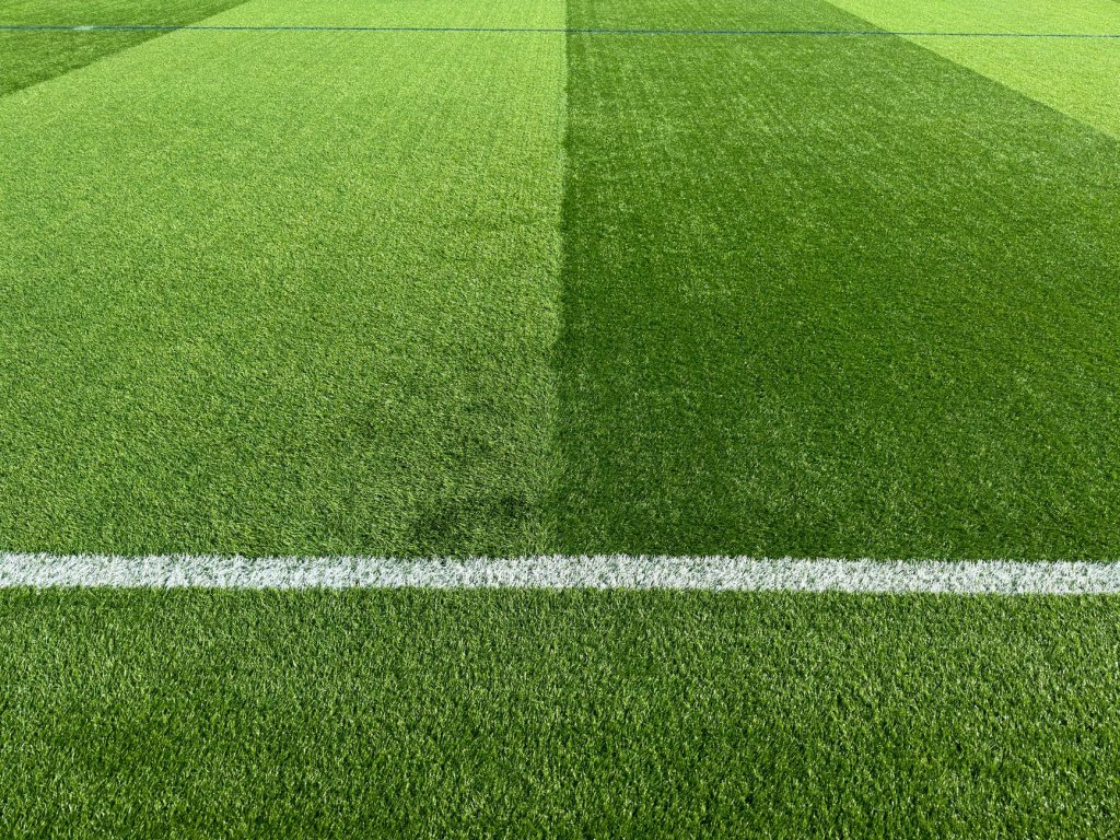 sportovní trávník – biologie a morfologie trav