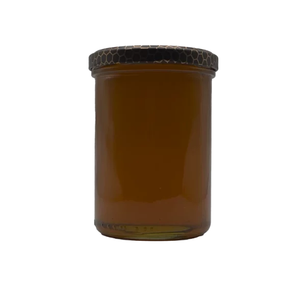 wpml test 12 Lesní med 570 g — Bylinkový Koš