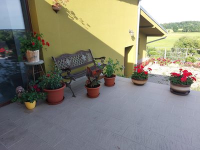 Muškáty